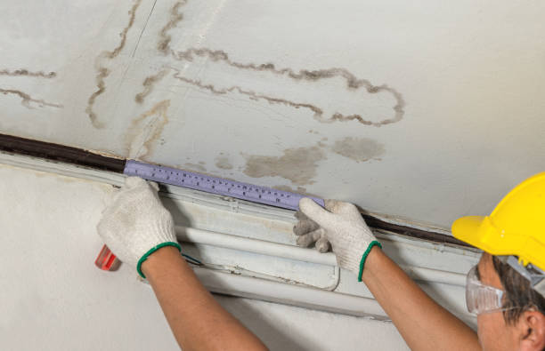 24/7 Emergency Structural Drying experts in Quincy, MI