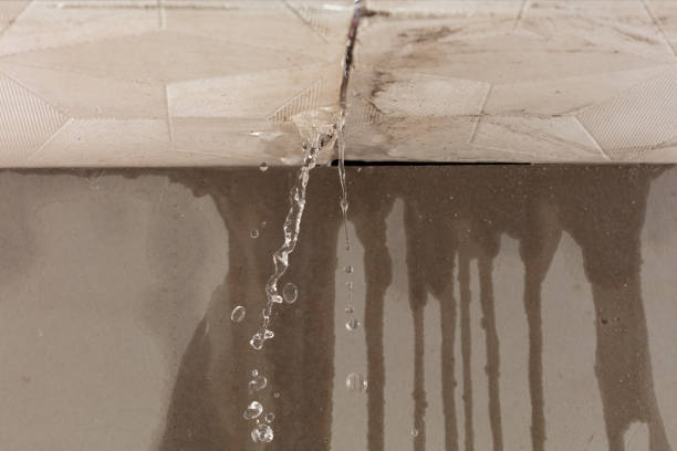 Professional Structural Drying technician working in Quincy, MI